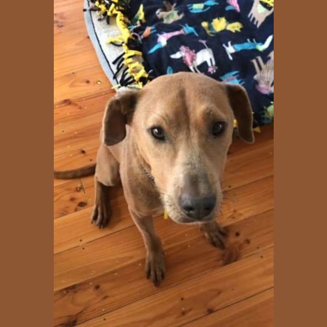 Photo of Turbo 