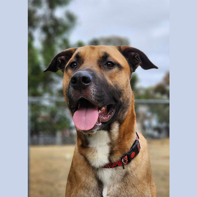 Photo of 🤠 Dusty 5095 🤠