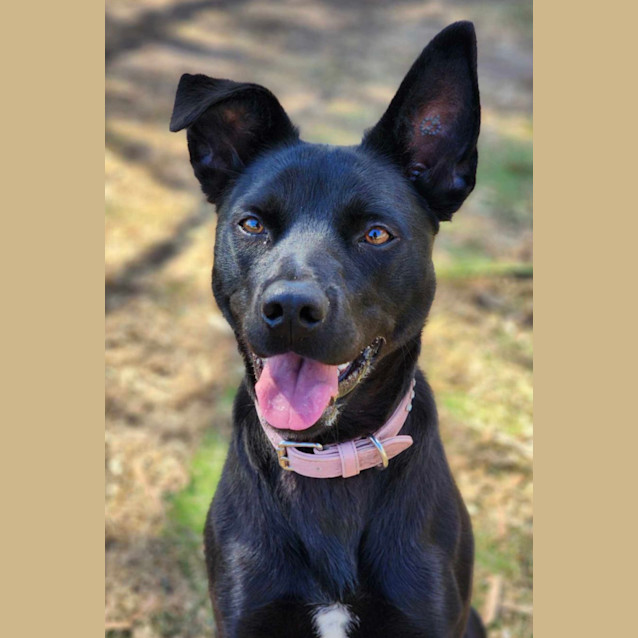 Photo of 🌀 River 5093 🌀