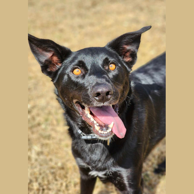 Photo of 🥔 Spud 5094 🥔