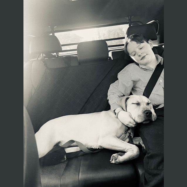 Photo of Humphrey D. Dog
