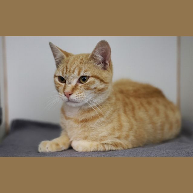 Photo of Fergus