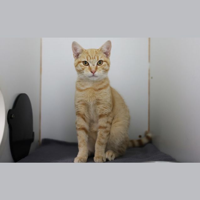 Photo of Fergus