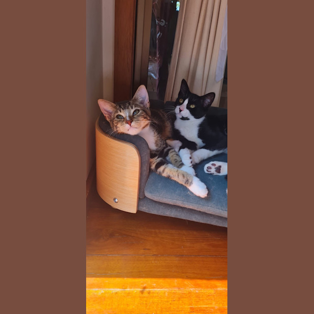 Photo of Theodore & Jinx