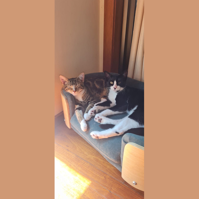 Photo of Theodore & Jinx