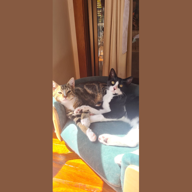 Photo of Theodore & Jinx