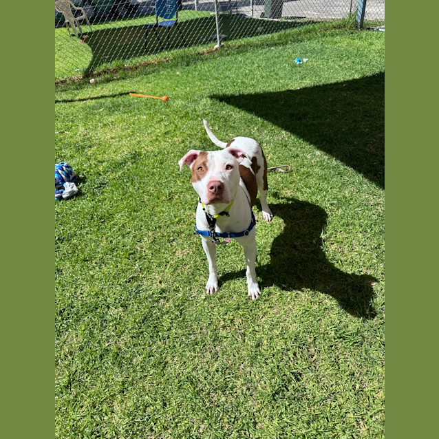 Photo of Winnie