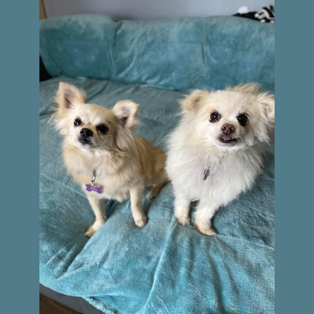 Photo of Bea And Mia