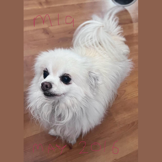 Photo of Bea And Mia