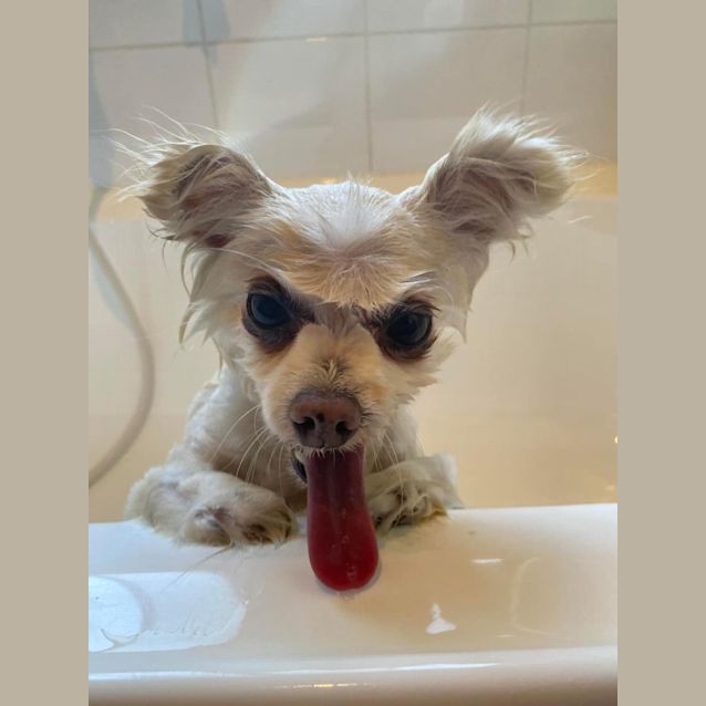 Photo of Bea And Mia