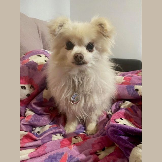 Photo of Bea And Mia