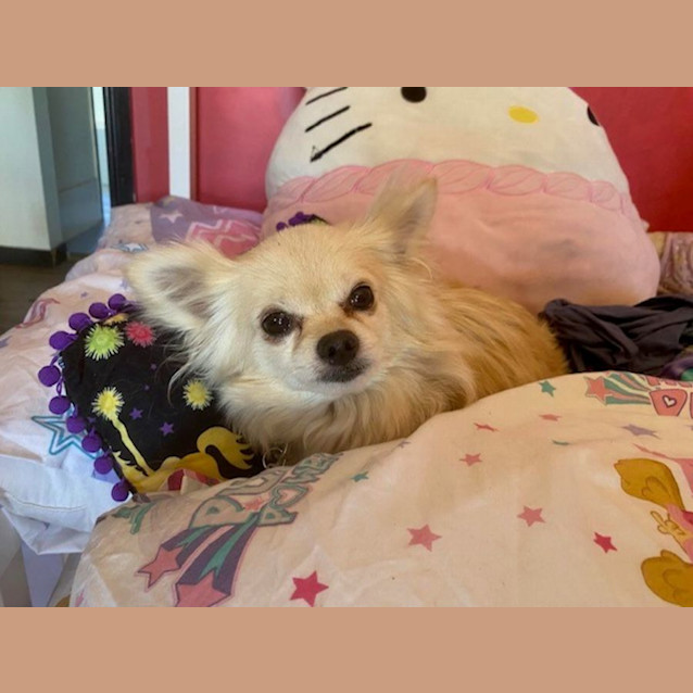 Photo of Bea And Mia