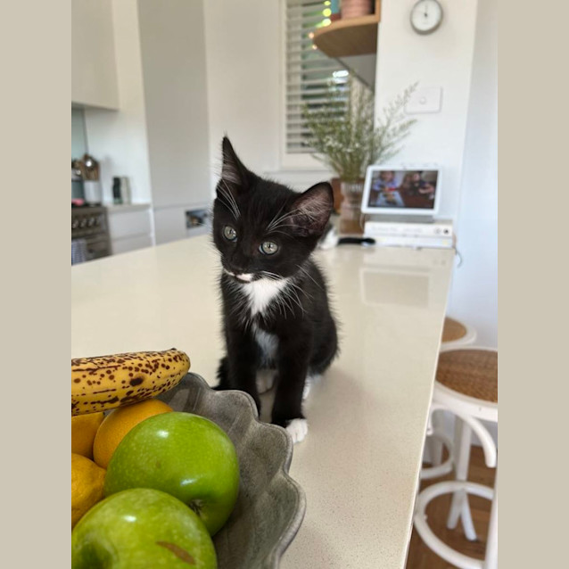 Photo of Voodoo And Slippers