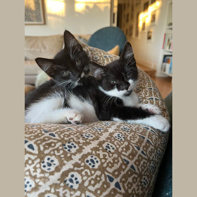 Photo of Voodoo And Slippers