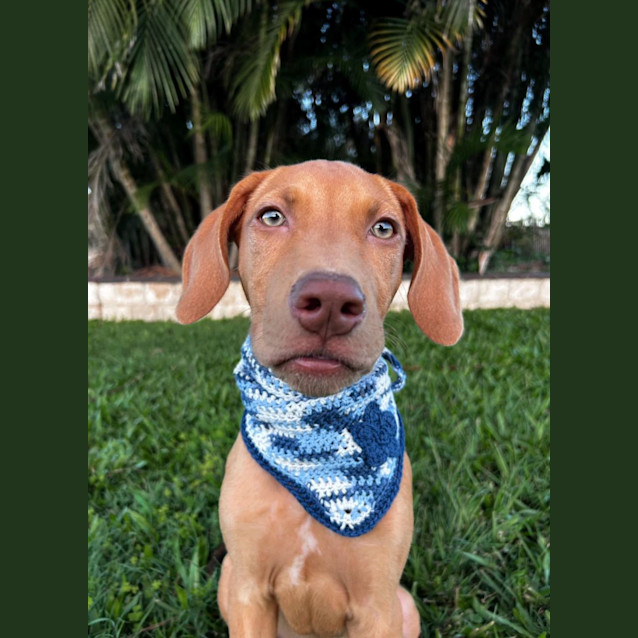 Photo of Kyle