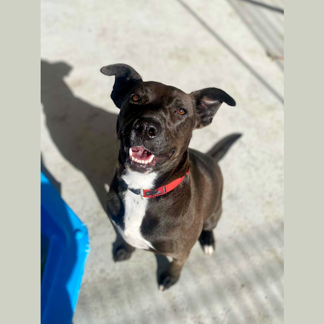 Photo of Roxy
