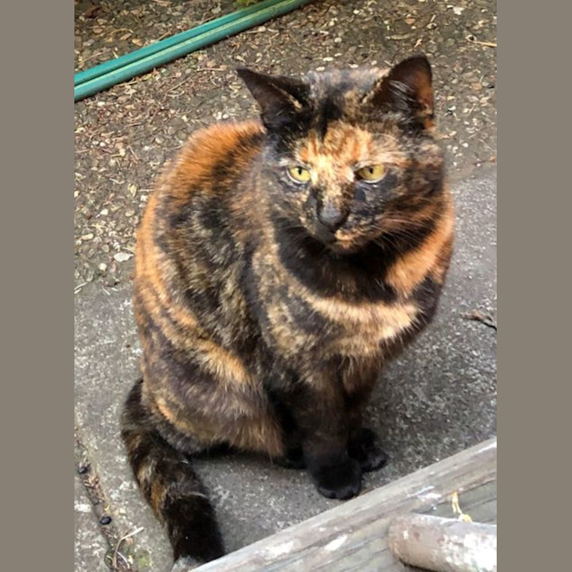 Photo of Smoky Wilberforce