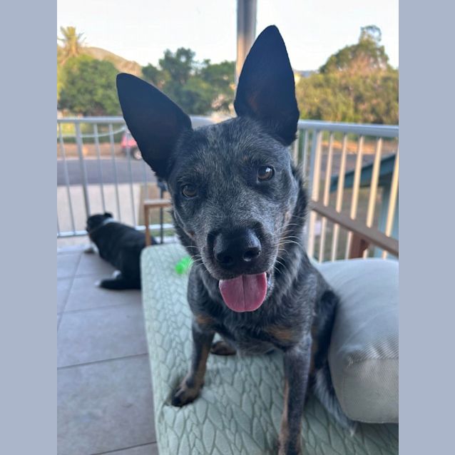 Photo of Athena