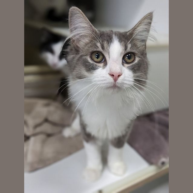 Photo of 👾 Maverick F02844 👾