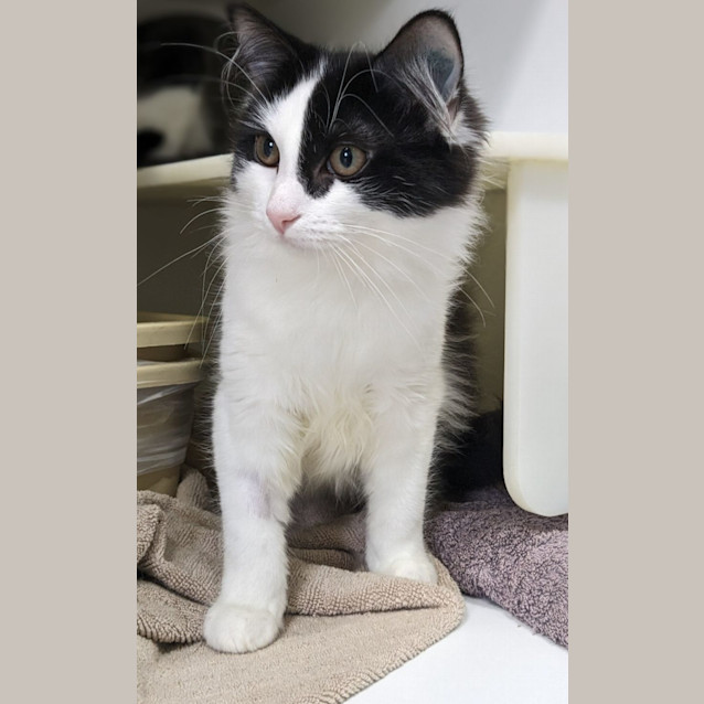 Photo of 🤖 Spencer F02845 🤖