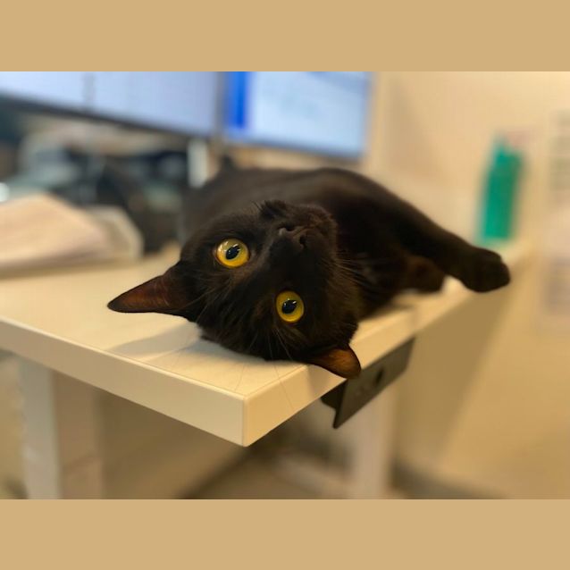 Photo of 🎵 Nebula 5084 🎵