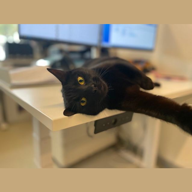 Photo of 🎵 Nebula 5084 🎵