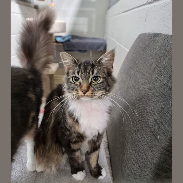 Photo of Coco