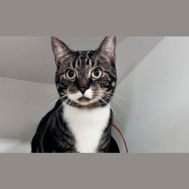 Photo of Buster