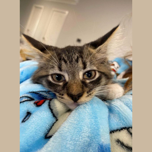 Photo of Owen