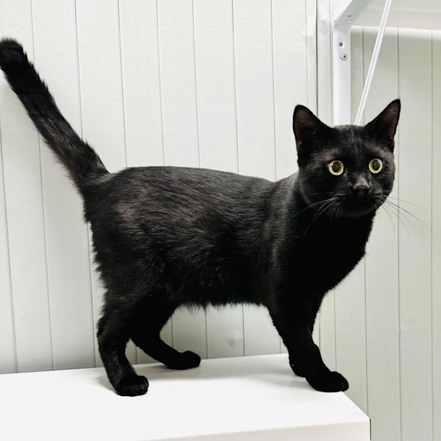 Photo of Ceelo   Located In Preston