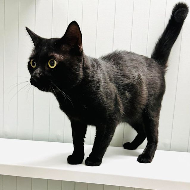 Photo of Ceelo   Located In Preston