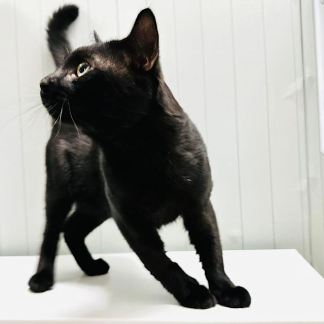 Photo of Ceelo   Located In Preston