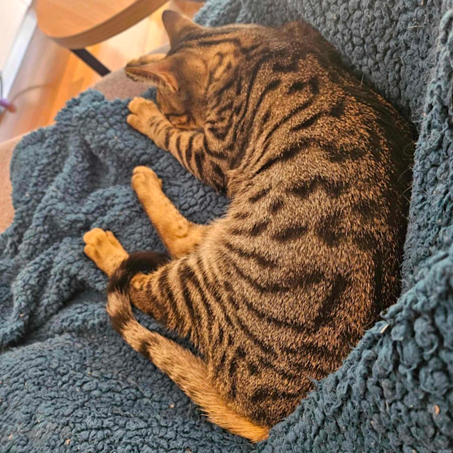 Photo of Pilot   Located In Melton South