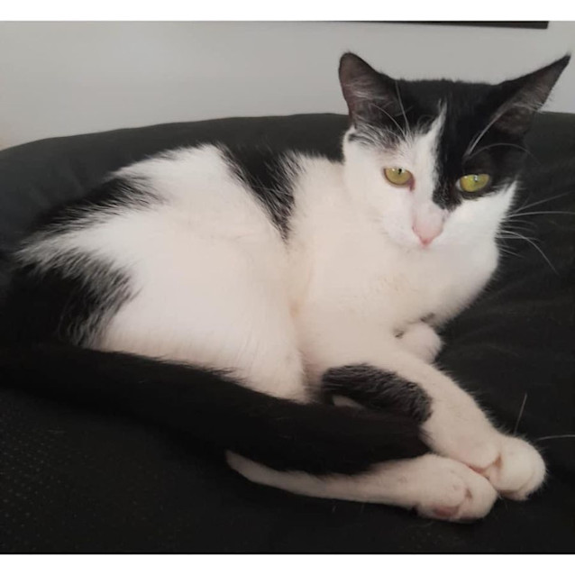 Photo of 5777   Joker