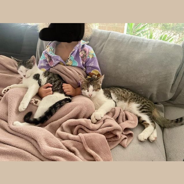 Photo of Hope & Wilson