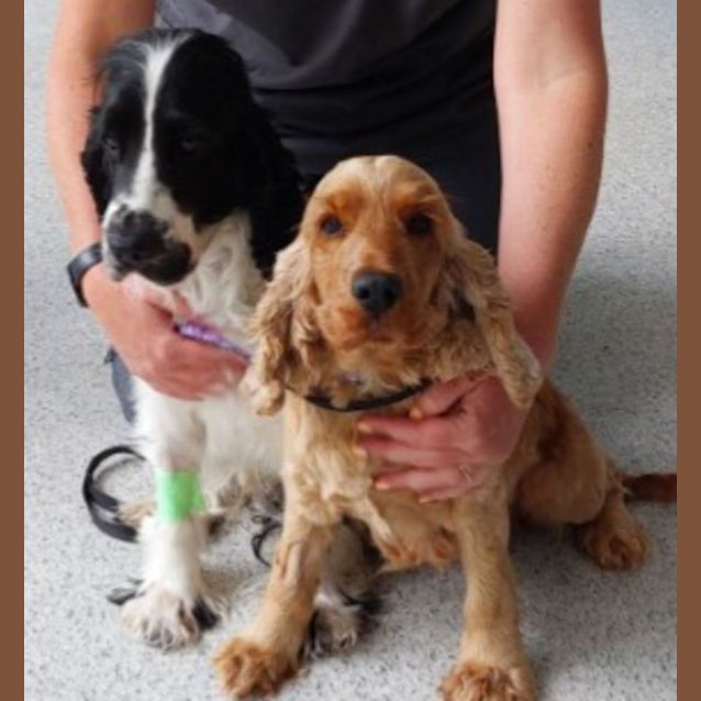 Photo of Daisy And Spencer