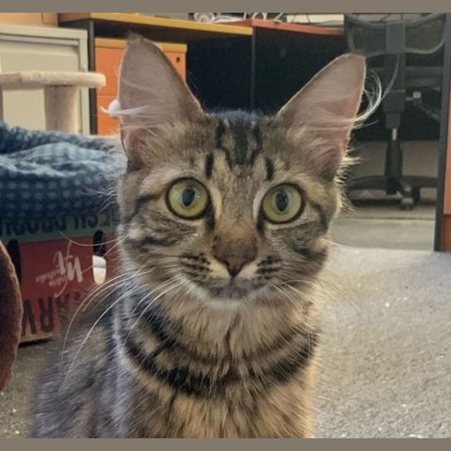 Photo of Sally