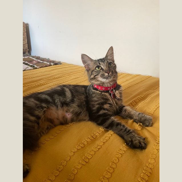 Photo of Sally