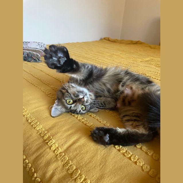 Photo of Sally