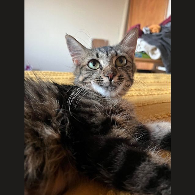 Photo of Sally