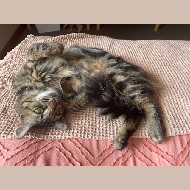 Photo of Sally
