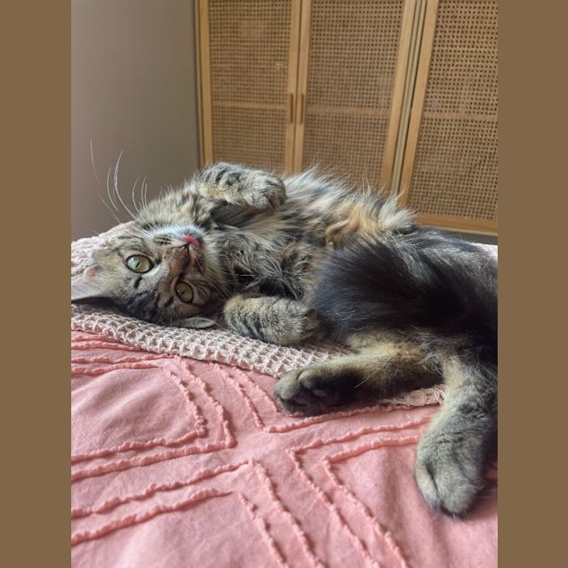Photo of Sally