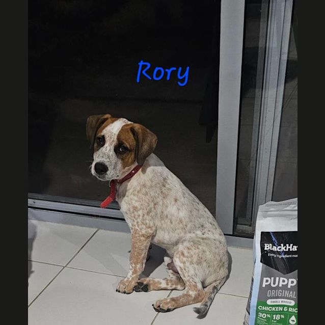 Photo of Rory