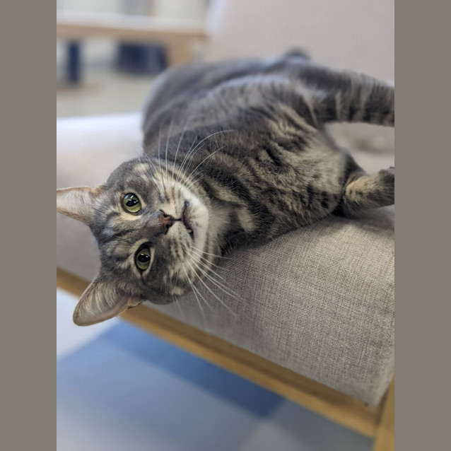 Photo of 🧵 Cedric F02808 🧵