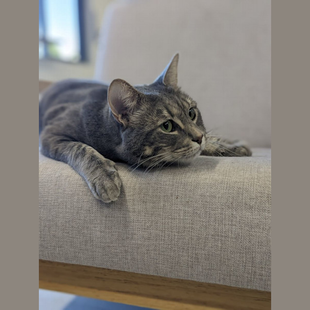 Photo of 🧵 Cedric F02808 🧵