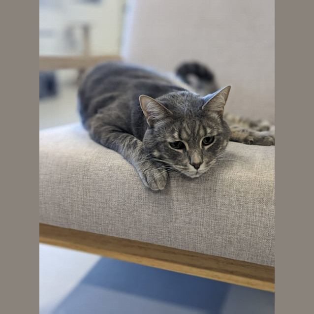 Photo of 🧵 Cedric F02808 🧵