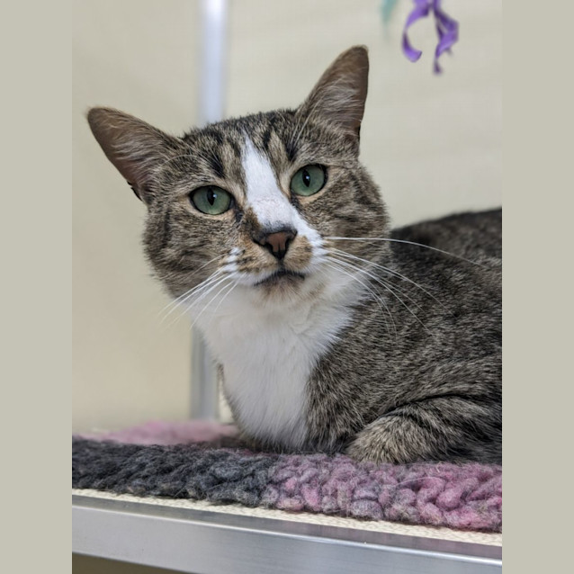 Photo of 🎈 Juno 5083 🎈