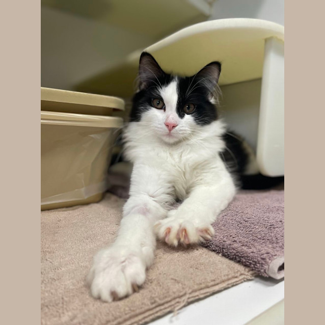 Photo of 🤖 Spencer F02845 🤖