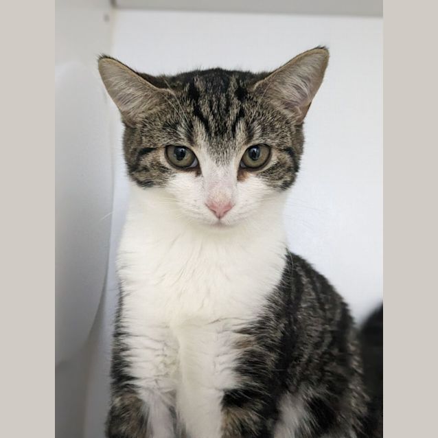 Photo of 🎀 Daphne F02869 🎀