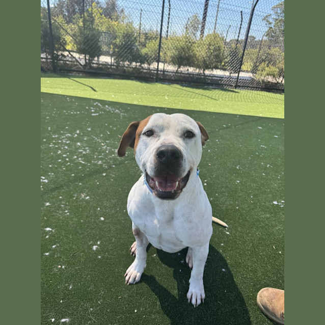 Photo of Tom Imp 2564